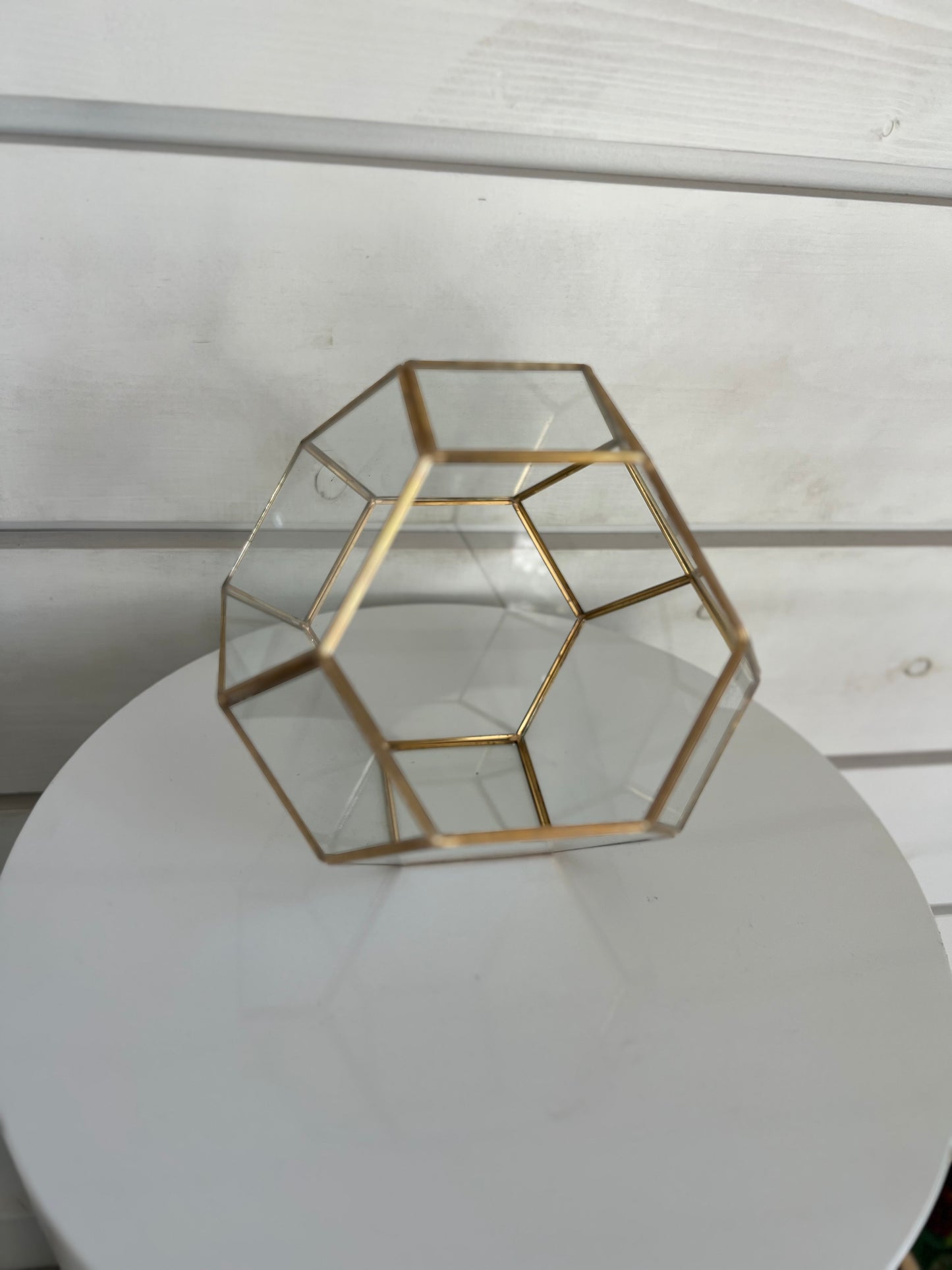 GEOMETRIC TERRARIUMS - gold hexagonal, 9"x7" (22 available)
